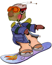 JC Boarder