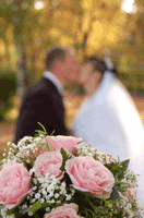 Snow Trails Wedding